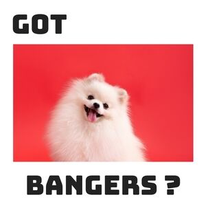 Jackson is LIVE! Like this show notification!